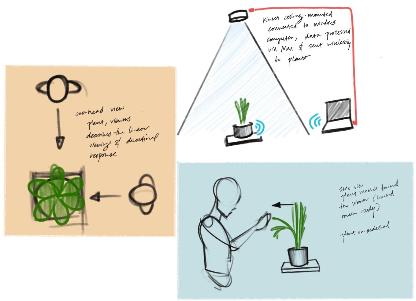Sketches including birds-eye and side view of planned interaction with plant.